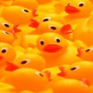 Meet your Posher, Lucky duck's